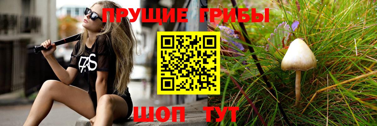 Псилоцибиновые грибы GOLDEN TEACHER Углич