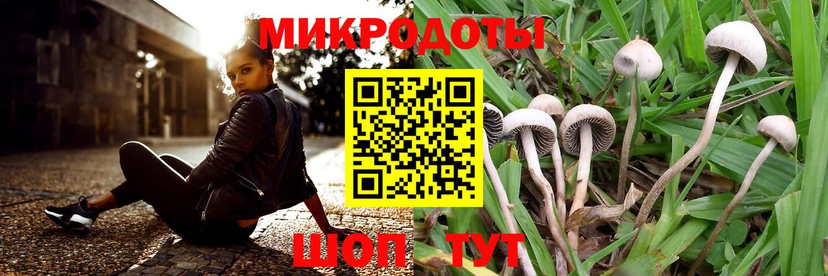 Галлюциногенные грибы MAGIC MUSHROOMS  Вход с VPN  Углич  дарнет шоп  Псилоцибиновые грибы Cubensis 