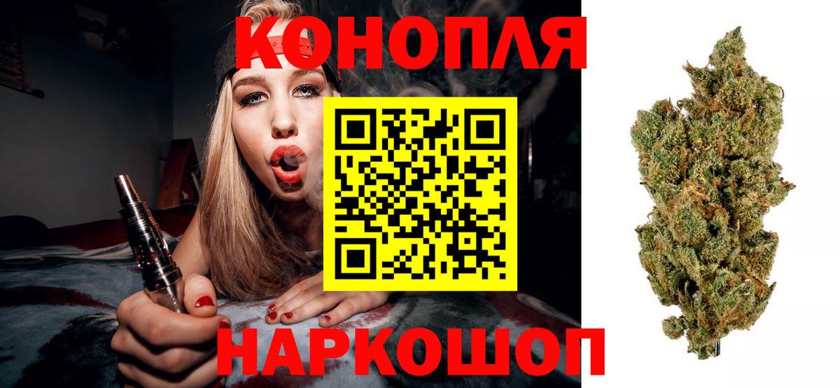 Каннабис планчик Углич